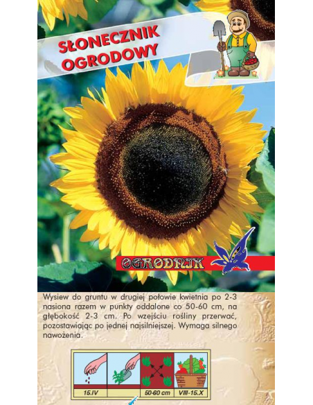 Słonecznik jadalny 10g OGRODNIK