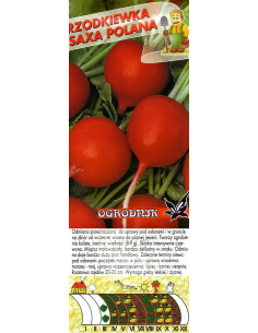 Rzodkiewka Saxa Polana 10g