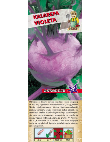 Kalarepa Violeta 2g